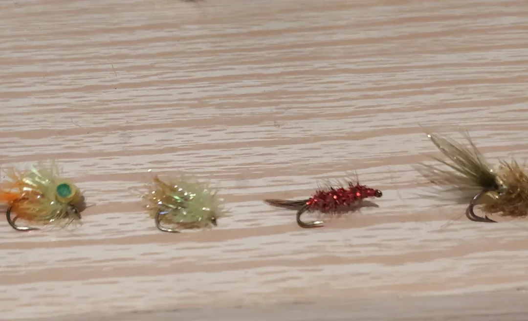 Trout eat a lot of Zooplankton all year long
