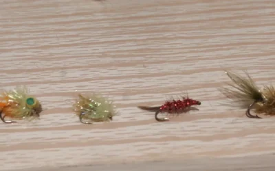 Trout eat a lot of Zooplankton all year long
